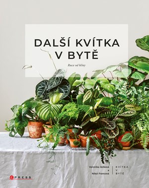 Další kvítka v bytě: Ruce od hlíny | Veronika Ježková, Nikol Francová