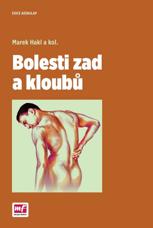 BOLESTI ZAD A KLOUBŮ