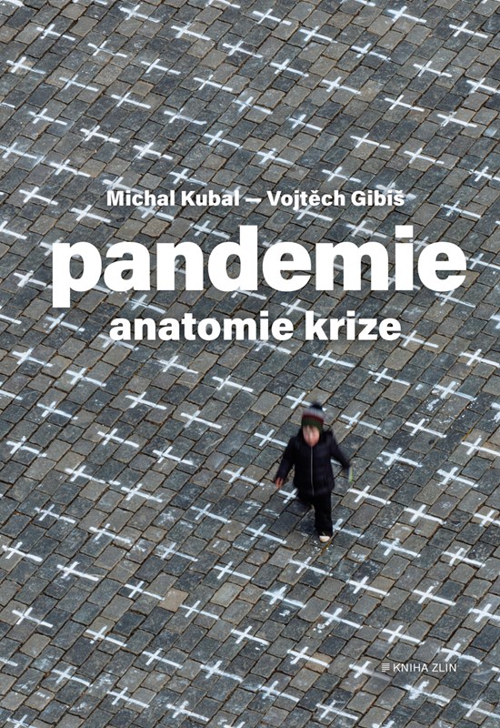 PANDEMIE ANATOMIE KRIZE