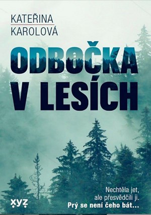 Odbočka v lesích | Kateřina Karolová