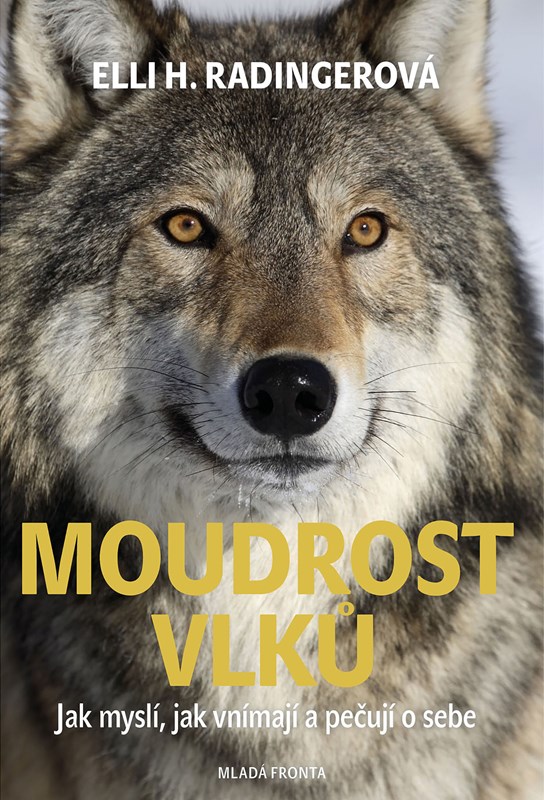 MOUDROST VLKŮ