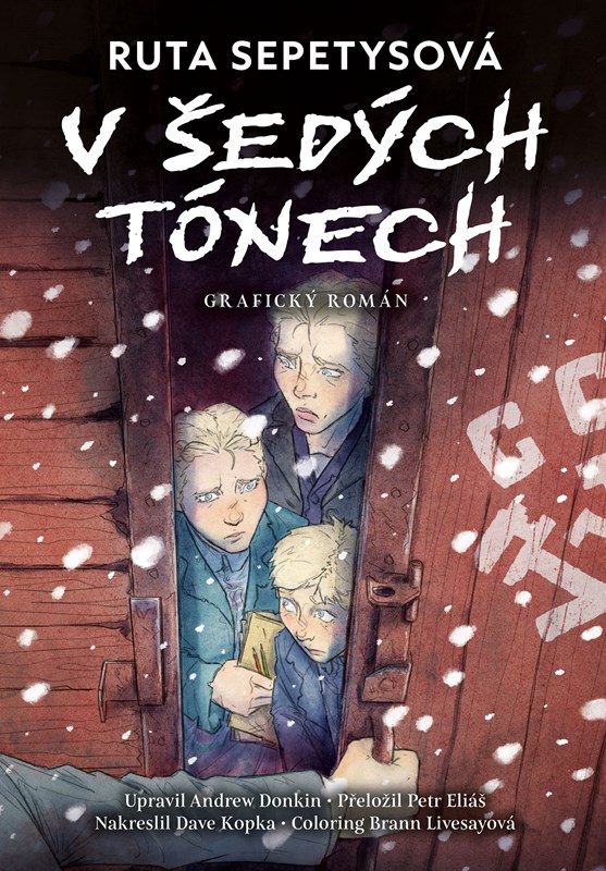 V ŠEDÝCH TÓNECH - GRAFICKÝ ROMÁN