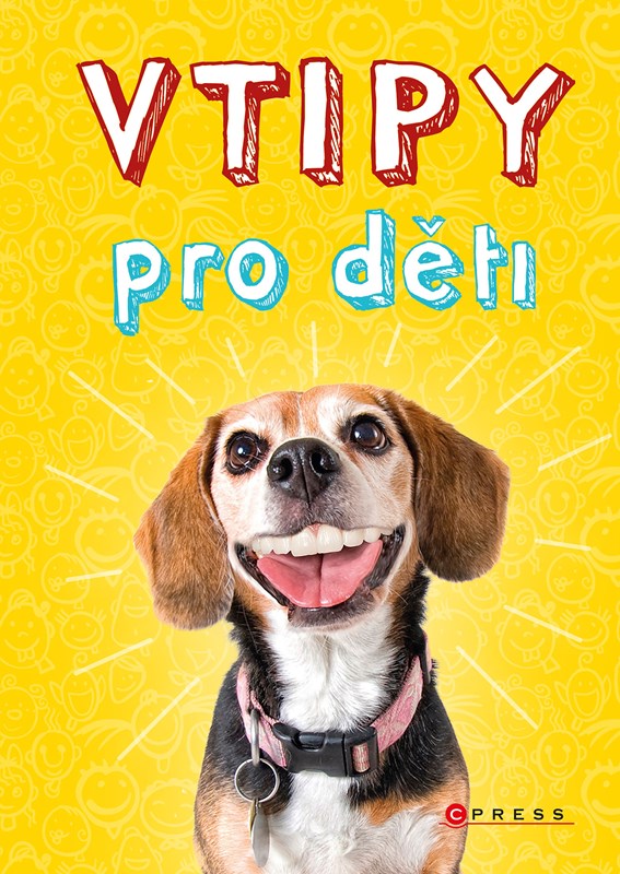 VTIPY PRO DTI