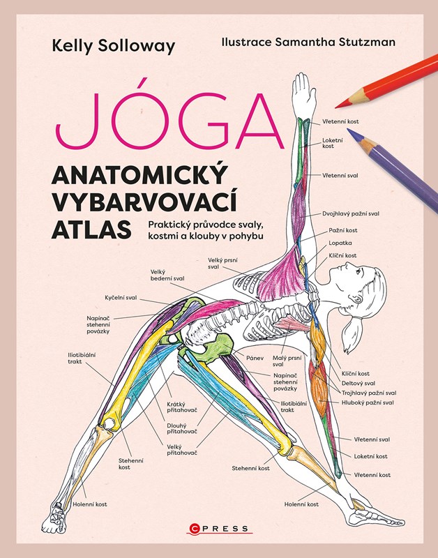 JÓGA - ANATOMICKÝ VYBARVOVACÍ ATLAS