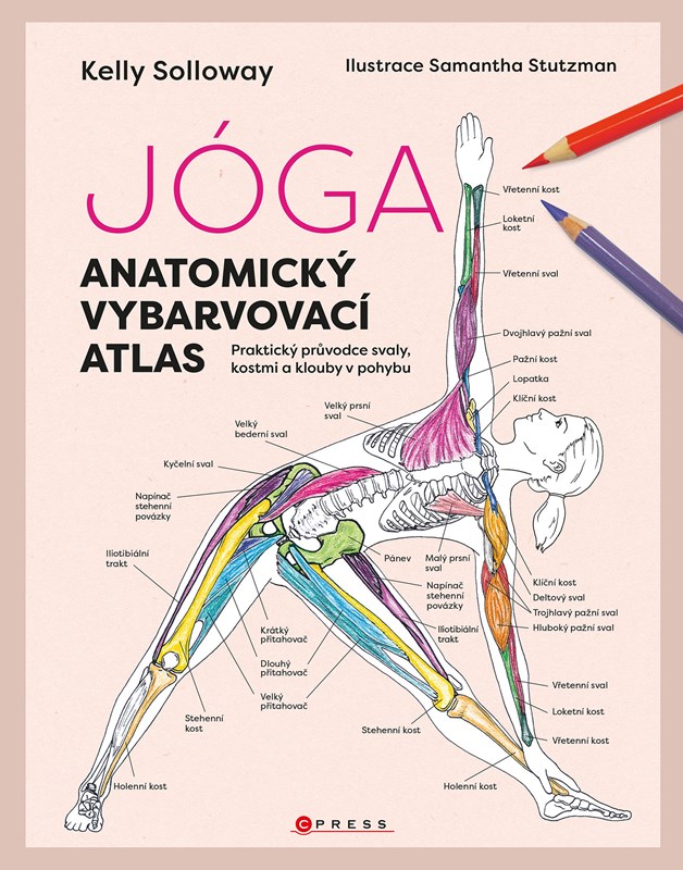 Levně Jóga - anatomický vybarvovací atlas | Kateřina Trenzová, Kolektiv, Kolektiv