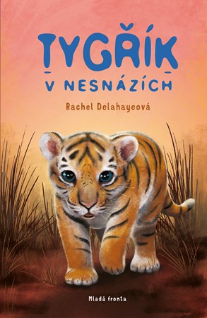 Tygřík v nesnázích | Eva Brožová, Rachel Delahayeová, Artful Doodlers