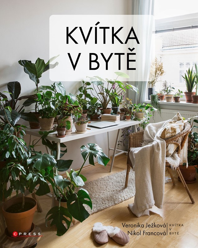 KVÍTKA V BYTĚ