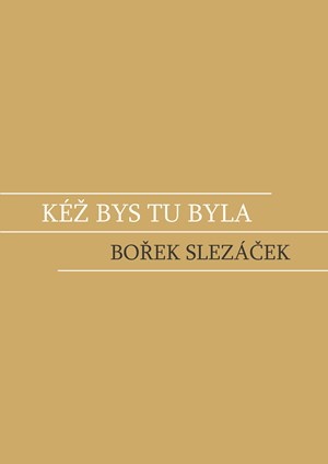 Kéž bys tu byla | Bořek Slezáček