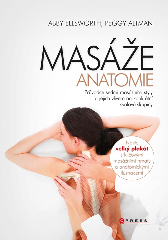 MASÁŽE ANATOMIE