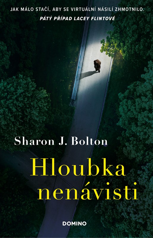 Levně Hloubka nenávisti | Sharon J. Bolton, Martin Verner