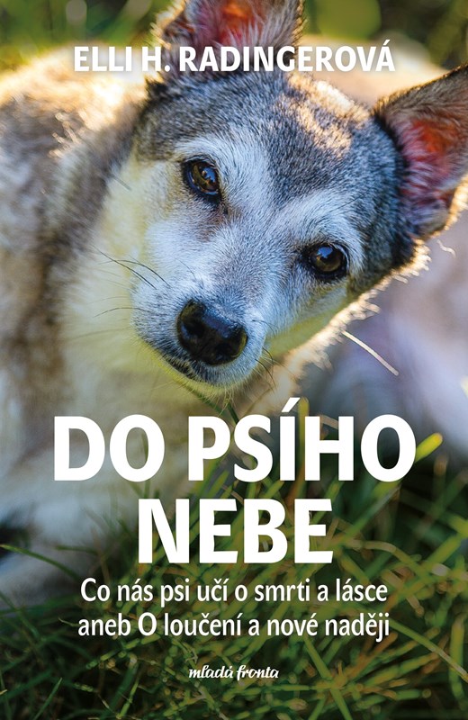 DO PSÍHO NEBE