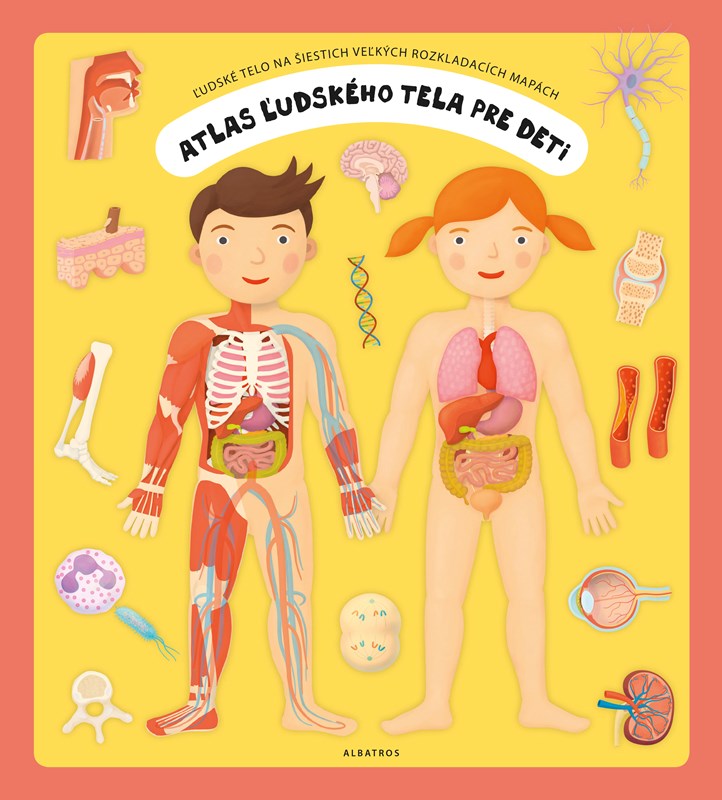 Levně Atlas ľudského tela pre deti | Oldřich Růžička, Tomáš Tůma, Ľuba Nguyenová Anhová