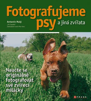 FOTOGRAFUJEME PSY A JINÁ ZVÍŘATA