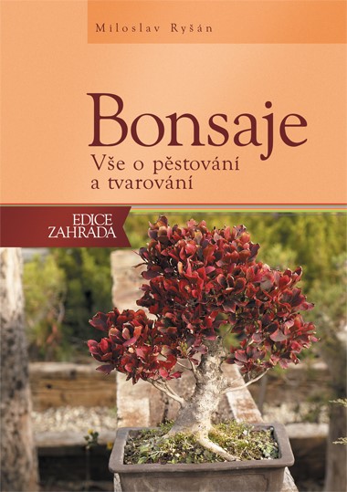 BONSAJE  (COMPUTER PRESS)