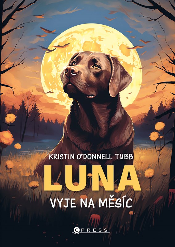 LUNA VYJE NA MĚSÍC