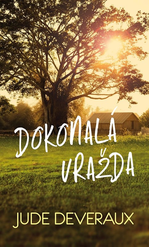 DOKONALÁ VRAŽDA (A MEDLAR MYSTERY 1)