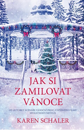 Jak si zamilovat Vánoce | Dana Chodilová, Karen Schaler