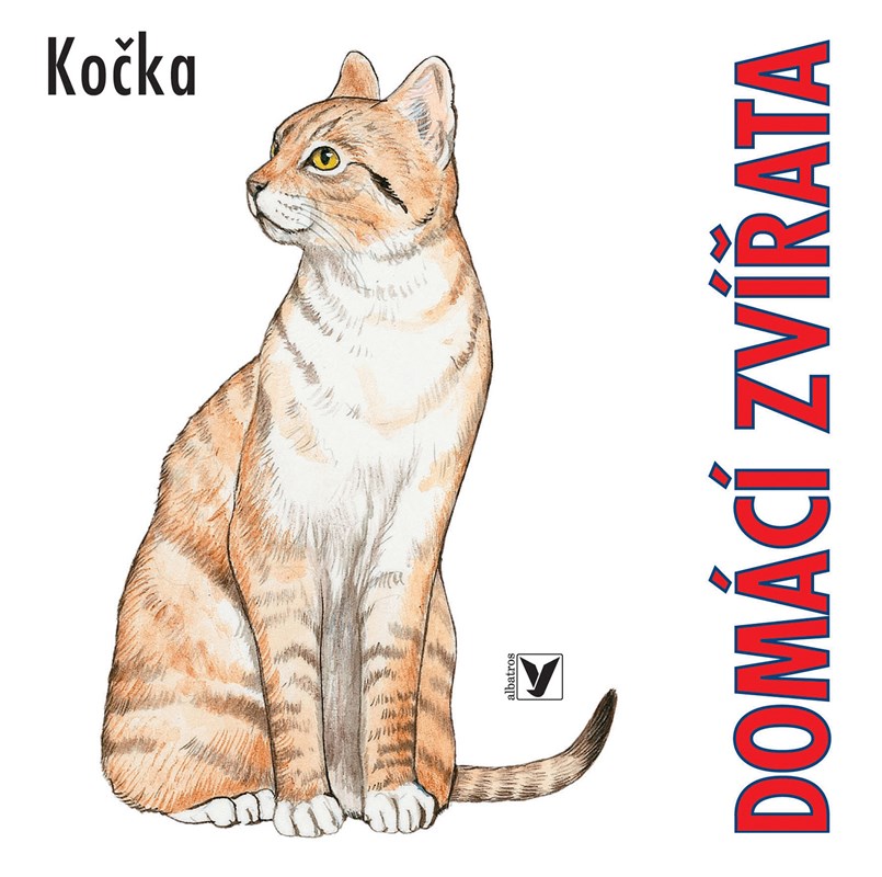 DOMÁCÍ ZVÍŘATA