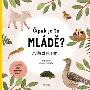 Čípak je to mládě? koupíte na Albatros