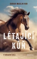 V koňském sedle: Létající kůň