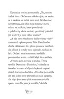 a101f0f0011363_spssk-2-statecne-kotatko-