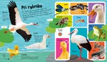 B102S1F0002074_hovoriaca-farma-list3.jpg
