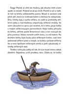 a101f0f0013001_povesti-z-kutnohorska-lis