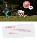 a101a0f0013370_mame-doma-stenatko-list2.