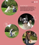 a101a0f0013370_mame-doma-stenatko-list3.