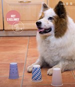 a101a0f0013370_mame-doma-stenatko-list4.