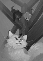 a101f0f0013669_pulnocni-kocky-utok-zaker