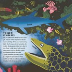 A101U0F0014838_chobotnicka-rozarka-a-ohr