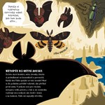 A101U0F0014839_netopyrek-filda-a-bajecna