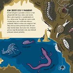 A101U0F0014839_netopyrek-filda-a-bajecna