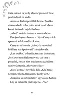 b102l10001592_mesacni-jazdci-5-snehova-k