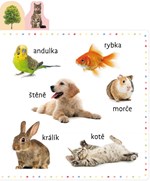 0100537054_9788025516133_Prvnich 100 slo