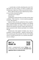 A101B0N0014894_Ajtacka-detektivka_list3.