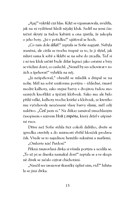 a101f0f0013334_zahada-mechanickeho-vrabc