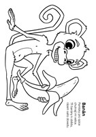 A101I0F0015578_malovanky-s-rikadly-list1