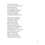 A101V0F0013202_Vsechny-vune-oleandru-lis