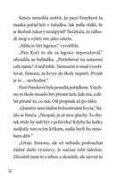 a101f0f0014284_strasacka-simca-desit-pov