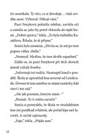 a101f0f0014284_strasacka-simca-desit-pov