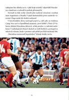 A10160F0002481_Diego-Maradona-list2.jpg