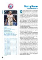 a101m0f0015218_fotbalove-hvezdy-2026-lis