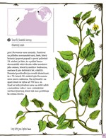 A101U0F0015315_kniha-mizejicich-rostlin-