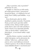 a101f0f0013878_ema-ajkz-20-mazliva-koala