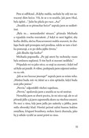 a10150f0015809_kocour-z-vanocniho-domu-l