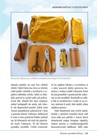 A101C0N0012809_Nezname-kapitoly_list3.jp