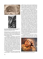 a10110F0003160_praveky-svet-zdenka-buria