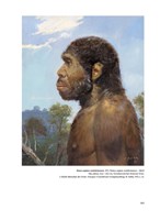 a10110F0003160_praveky-svet-zdenka-buria